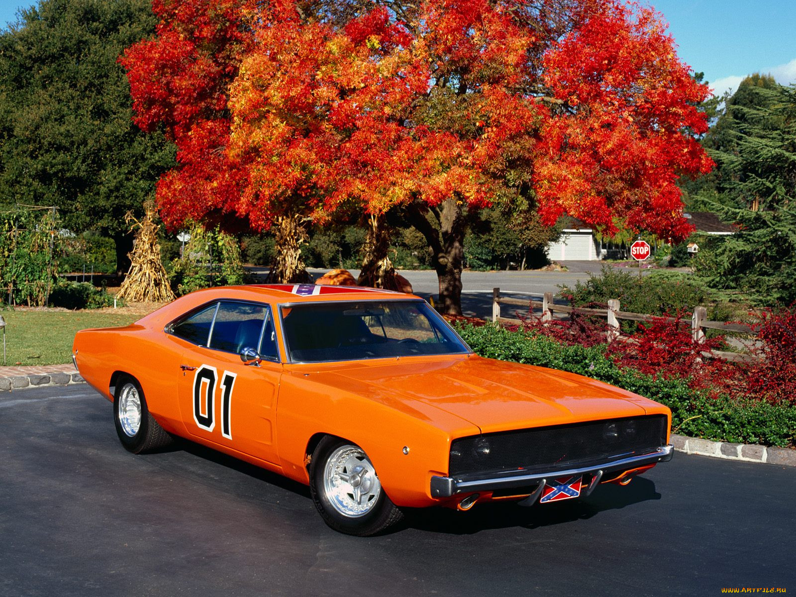 , dodge